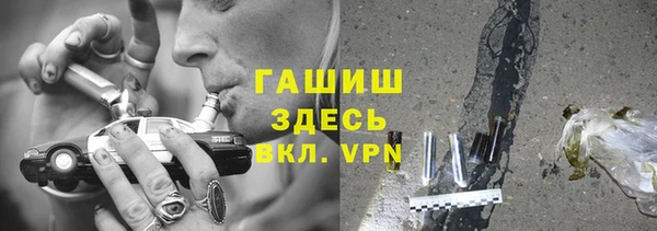 мдпв Бородино