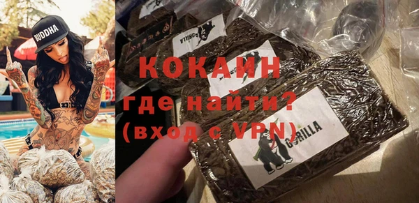 мдпв Бородино