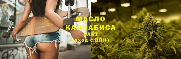 мдпв Бородино