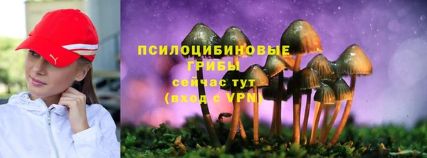 мдпв Бородино