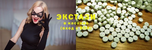 индика Бугульма