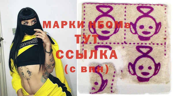 индика Бугульма