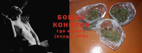 мдпв Бородино