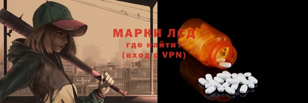 мдпв Бородино