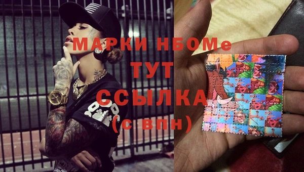 мдпв Бородино