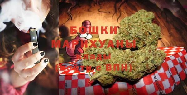индика Бугульма
