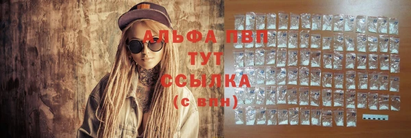 индика Бугульма