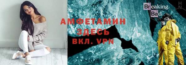 индика Бугульма
