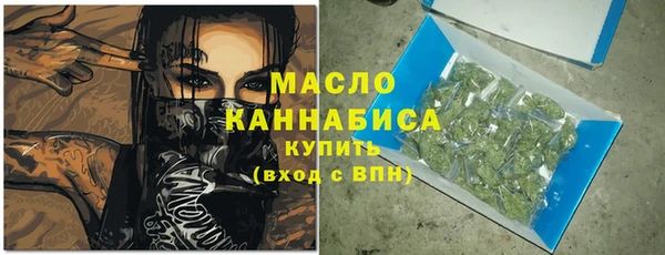 мдпв Бородино