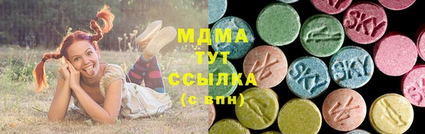 мдпв Бородино