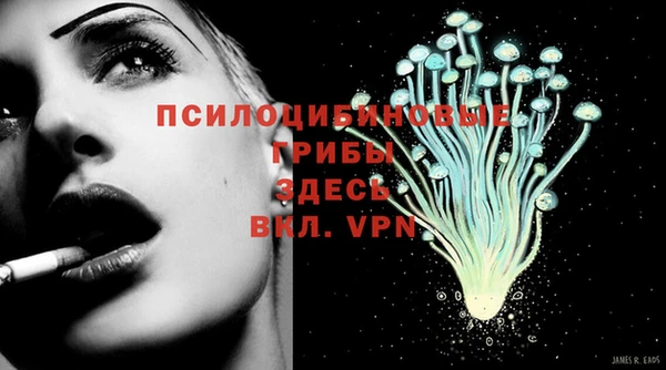 мдпв Бородино