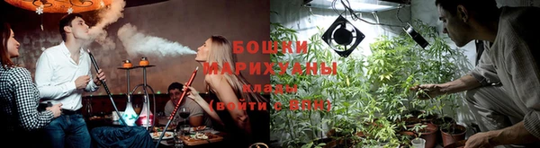 мдпв Бородино