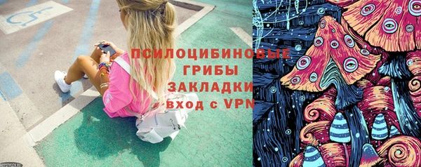мдпв Бородино