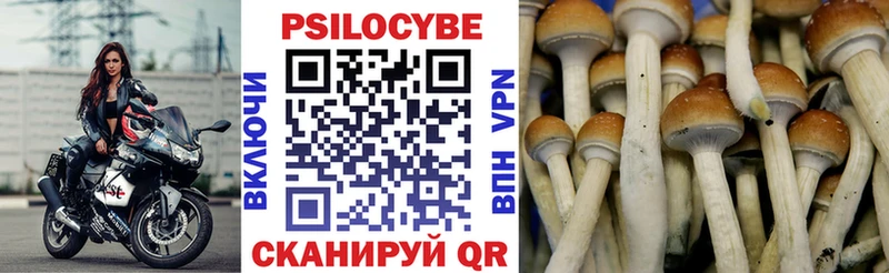 Галлюциногенные грибы мухоморы Ленинск-Кузнецкий