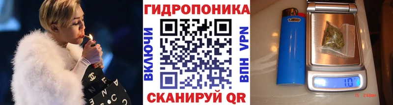 Марихуана сатива  Купить закладки  Ленинск-Кузнецкий 